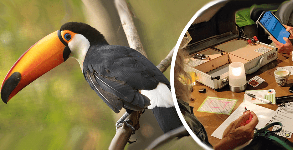 Ouwehands Dierenpark Teambuilding Game