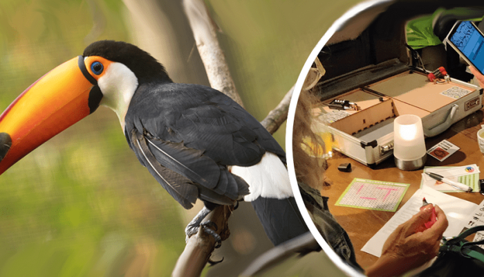 Ouwehands Dierenpark Teambuilding Game